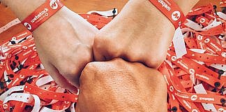 Bobocel la Webstock 2017