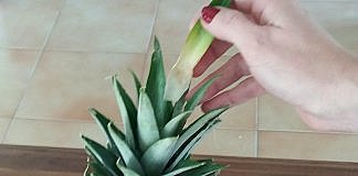 Ananasul. Cum aleg, cum il tai. Reteta smoothie!