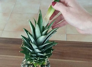 Ananasul. Cum aleg, cum il tai. Reteta smoothie!