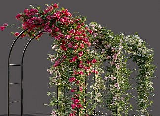 DIY Arcada pentru trandafiri.