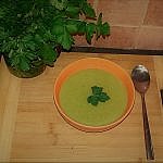 supa verde 3