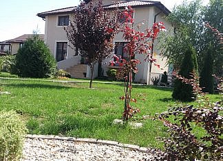 Gazonul. Cum se seamana, cum se intretine!