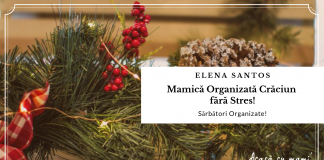 Mămică organizată-Crăciun fără stres! Cum îmi planific Sărbătorile de Iarnă!