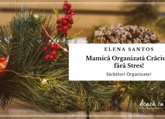 Mămică organizată-Crăciun fără stres! Cum îmi planific Sărbătorile de Iarnă!