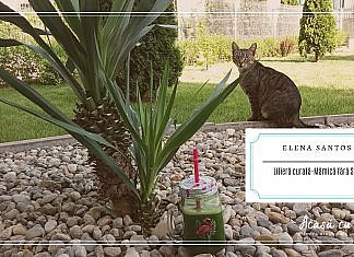 Pisicile. Cum îmi mențin casa parfumată cu 3 pisicuțe năzdrăvane!