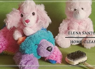 Jucăriile de pluș. Cum le spăl, cum le pufoșesc să arate ca noi!