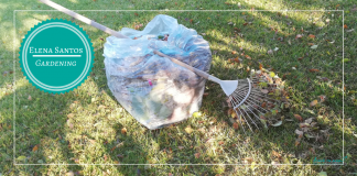 Toamna în grădina mea. Lucrări de sezon.