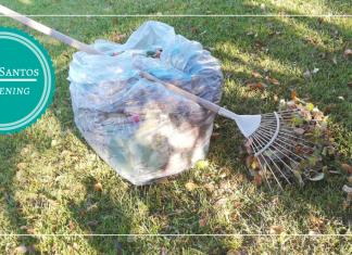 Toamna în grădina mea. Lucrări de sezon.