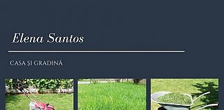 Gazonul. Întreținere, aerare și scarificare