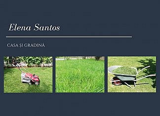 Gazonul. Întreținere, aerare și scarificare