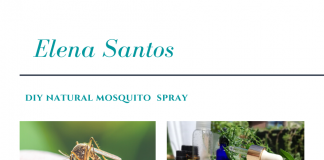 Spray natural antițânțari. DIY simplu cu mentă, salvie și rozmarin.