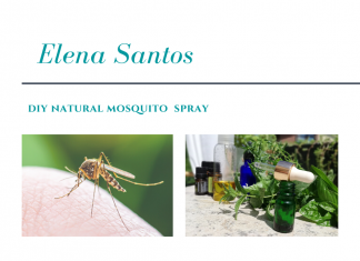 Spray natural antițânțari. DIY simplu cu mentă, salvie și rozmarin.