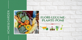 Calendarul gradinarului incepator. Partea I, primele sase luni