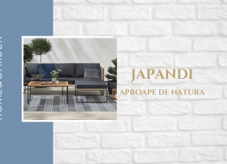 Stilul JAPANDI. Natura la interiorul și exteriorul casei noastre.