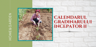 Calendarul grădinarului începător. Partea a II a, lunile iunie-decembrie