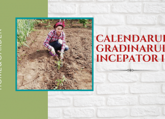 Calendarul grădinarului începător. Partea a II a, lunile iunie-decembrie