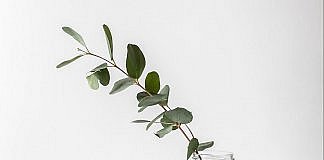 Sfaturi simple de organizare minimalistă