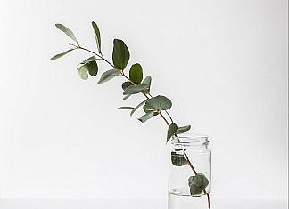 Sfaturi simple de organizare minimalistă