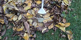 Cum ne pregatim gradina pentru iernat.