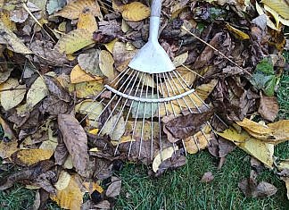 Cum ne pregatim gradina pentru iernat.