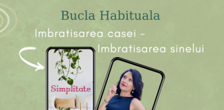 Simplificarea casei si bucla habituala