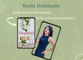 Simplificarea casei si bucla habituala